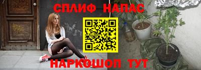 дживик Тара