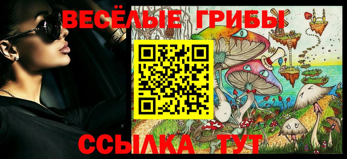 Ногинск  Псилоцибиновые грибы Psilocybine cubensis  Галлюциногенные грибы мицелий  Вход с VPN 