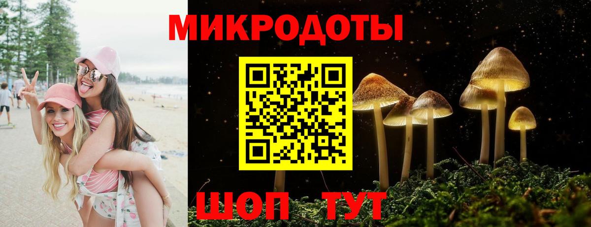 Псилоцибиновые грибы мицелий Ногинск
